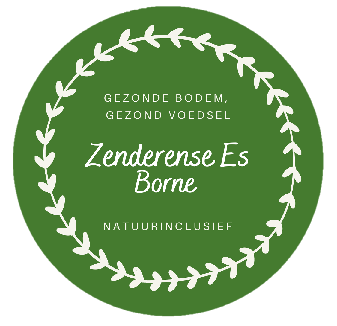 Zenderense Es