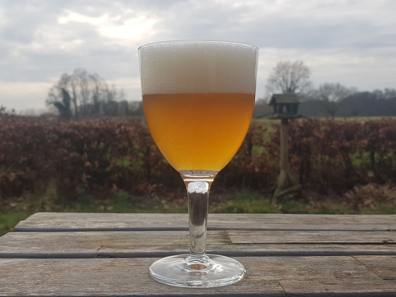 Van de gerst van de Zenderense Es is  natuurinclusief geteeld en vloermouterij Masterveld maakt er gerstemout van. In samenwerking met Marcel Bergboer van de Bierbrouwerij Borne laten we een special bier maken met 100% gerst van eigen land: het Borns Blond Bier. Het een fris blond bier met een alcoholpercentage van 6,5%
